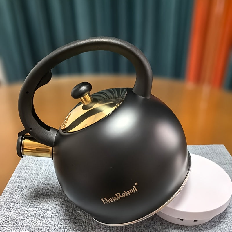Stainless Steel Stovetop Kettle
