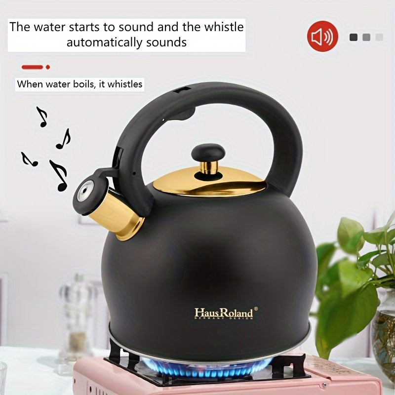 Stainless Steel Stovetop Kettle
