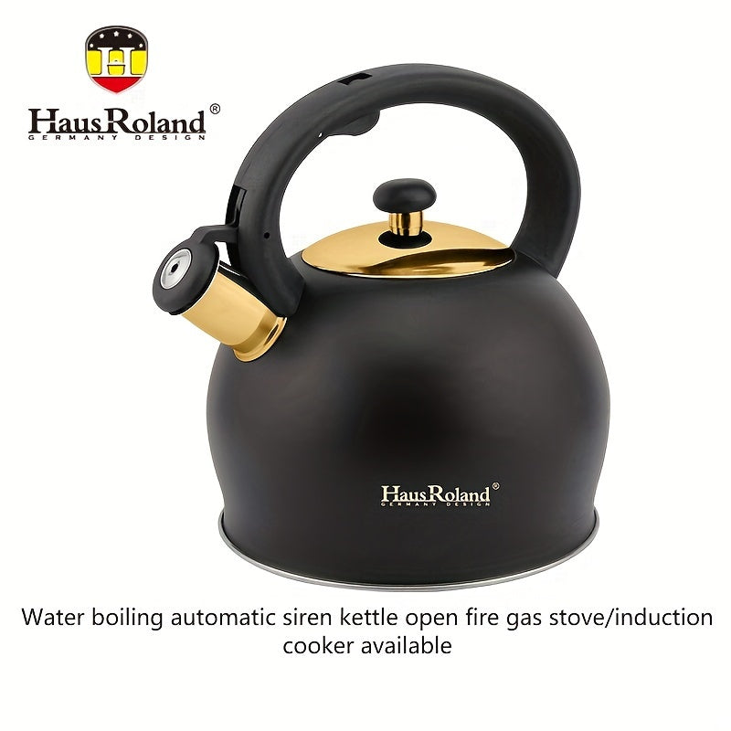 Stainless Steel Stovetop Kettle