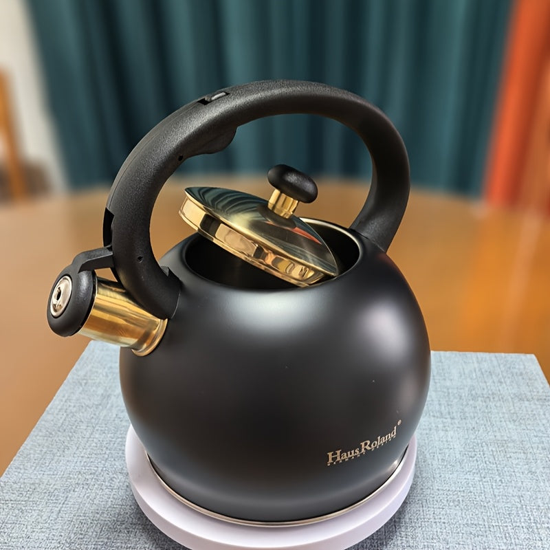 Stainless Steel Stovetop Kettle