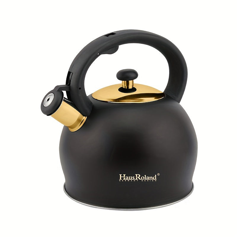Stainless Steel Stovetop Kettle